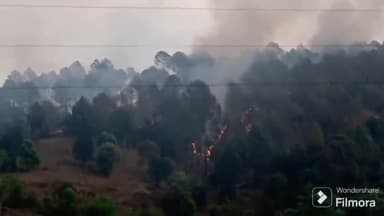 आदिबदरी: मेहल चौरी के निकट नेपाल वन पंचायत  में दो दिन से लगी है आग, दूदू कर जल रहा है जंगल, चारों ओर फैली है धुआं ही धुआं