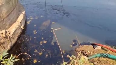 ગળતેશ્વર: ખેડા જિલ્લામાંથી પસાર થતી મહીસાગર નદીને વણાકબોરી થર્મલ પાવર સ્ટેશન દ્વારા કરવામાં આવી રહી છે પ્રદુષિત