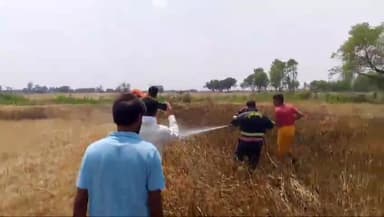 करछना: अकोढा गांव में गेहूं के खेत में अज्ञात कारणों से लगी भीषण आग, फायर ब्रिगेड की टीम ने आग पर पाया काबू