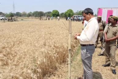 आज़मगढ़: हरैया पहुंच कर जिलाधिकारी ने गेहूं की फसल के उत्पादन को जानने के लिए एक खेत में कराई क्रॉप कटिंग, किसानों से की अपील