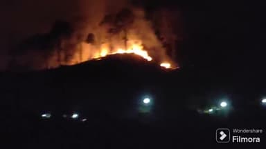 आदिबदरी: धू- धू कर जल रहा है हुलण कोट का जंगल, लाखों की वन संपदा जलकर हुई खाक