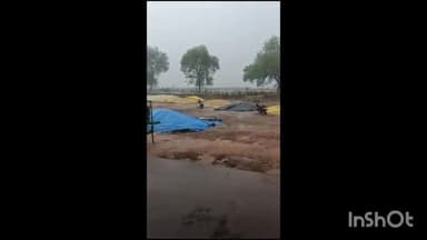 बाबई: माखननगर में खरीदी केंद्र पर बाहर खुले आसमान के नीचे रखा हजारों क्विंटल गेहूं अचानक हुई बारिश में भीगा
