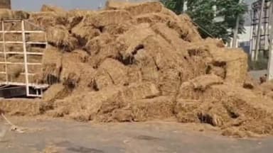 निगदू: गांव बस्तली के पास करनाल कैथल मार्ग पर सड़क के बीचों बीच पलटी पराली की गांठों से भरी ट्रैक्टर ट्राली, चालक को आई चोटे