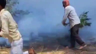 भरथना: नगला गुदे में हाईटेंशन लाइन की चिंगारी से लगी आग में 12 किसानों की कई बीघा गेहूं की फसल जली, एक किसान झुलसकर घायल