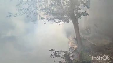 अलवर: अलवर शहर के कोतवाली थाना अंतर्गत स्थानीय महिला थाने के समीप मोदी की बावड़ी में लगी आग।