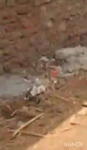 चित्तौड़गढ़: गुन्दारेल में दीवार बनाकर आम रास्ता अवरुद्ध करने के खिलाफ ग्रामीणों ने SP और DM के नाम दिया ज्ञापन