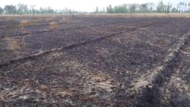 हायाघाट: हायाघाट प्रखंड के रघुनाथपुर गांव के बगाही चौर में गेंहू के खेत में लगी आग, लाखों का हुआ नुकसान