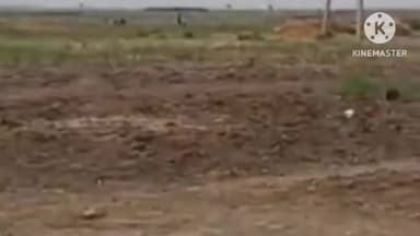 शेखपुरा: 15 अप्रैल को शेखपुरा के घाटकुसुंभा आएंगे CM, जमुई और नवादा से NDA उम्मीदवारों के पक्ष में मांगेंगे वोट