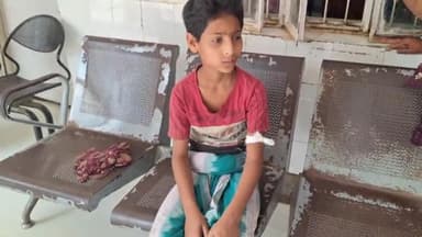 पूर्णिया पूर्व: बभनी रेहका गांव में जलावन उठाने के दौरान एक 11 वर्षीय बालक को जहरीले सांप ने हाथों में काटा, GMCH में भर्ती