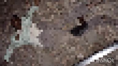 मुज़फ्फरनगर: जैन मिलन के पास एक अज्ञात व्यक्ति का ट्रेन से कटा मिला शव, जांच पड़ताल में जुटी पुलिस