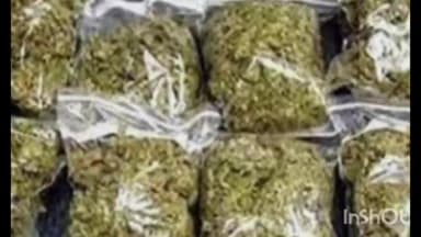 गुना नगर: आरोन बस स्टैंड से कोतवाली पुलिस ने 82 हजार रुपए कीमत के 5 किलो 435 ग्राम अवैध गांजा के साथ दो लोगों को किया गिरफ्तार