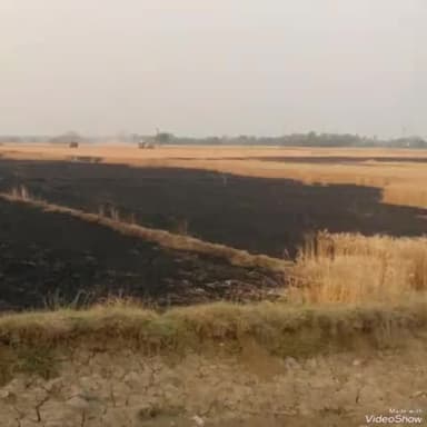 दावथ: महुआरी गांव के गेंहू की खेत में लगी आग तीन एकड़ की फसल जल कर राख हुआ।