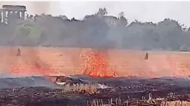 मंदसौर: नालछा माता रोड स्थित एक खेत में शॉर्ट सर्किट की वजह से लगी आग, मौके पर पहुंची फायर ब्रिगेड