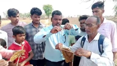 समुद्रपूर: मधमाशी संवर्धन अभियानाअंतर्गत शिवणफळ, जोगिंगगुफा येथे प्रशिक्षण व प्रात्यक्षिक कार्यक्रम पार पडला