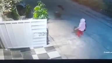 मंदसौर: शहर के सूयश बिहार में कुत्तों का आतंक सीसीटीवी कैमरे में महिला एवं बच्चों पर कुत्ते हमला करने की कर रहे कोशिश वीडियो वाय