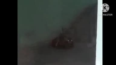 बगहा: वाल्मीकी टाइगर रिजर्व के जंगल से भटकर रिहायशी क्षेत्र में पहुंचा हिरण किया गया रेस्क्यू