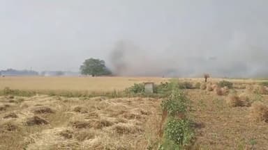 बिहिया: बिहिया के खरौनी गांव में अचानक आग लगने से लाखों रुपए मूल्य की गेहूं की फसल जलकर राख