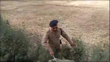 मलिहाबाद: भज्जाखेड़ा और छोटीखेड़ा समेत तमाम जगहों से 45 लीटर अवैध शराब हुई बरामद, 450 किलोग्राम लहन किया गया नष्ट