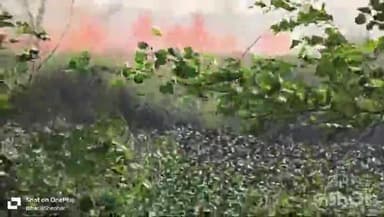 शिवहर: बभनटोली गांव से कोठिया गांव तक सैकड़ो किसान का सैकड़ो एकड़ गेहूं का फसल जलकर हुआ राख, अग्निशमन के 6 वाहन आग पर पाया काबू