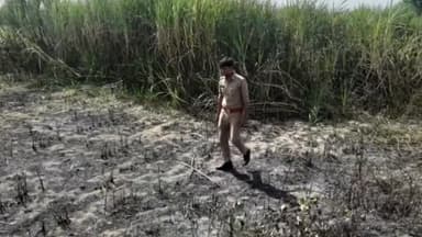 मोहम्मदी: गांव रायपुर कला में गन्ने के खेत में लगी भीषण आग, मौके पर पहुंची अग्निशमन विभाग की टीम।