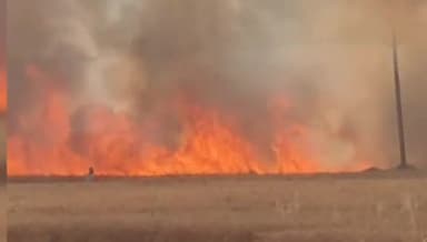 भिनगा: केवलपुर में अज्ञात कारणों से गेहूं की फसल में लगी भीषण आग,50 बीघा से अधिक गेहूं की फसल जलकर राख