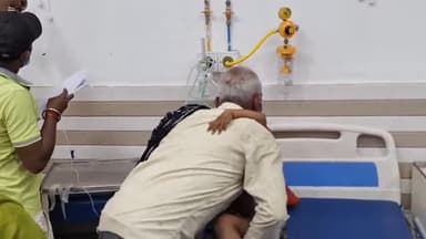 बेगूसराय: बेगूसराय के बिहट में कुत्ता ने एक बच्चा को काटकर किया गंभीर रूप से घायल