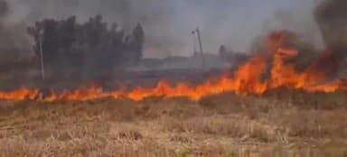 सुल्तानपुर: देवलपुर गांव में अज्ञात कारणों से गेहूं के खेत में लगी आग,40 बीघा फसल जलकर हुई राख