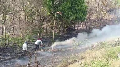 करछना: एग्रीकल्चर फॉरेस्ट डिपार्टमेंट में अज्ञात कारणों से लगी भीषण आग,मौके पर पहुंची फायर ब्रिगेड ने आग पर काबू पाया