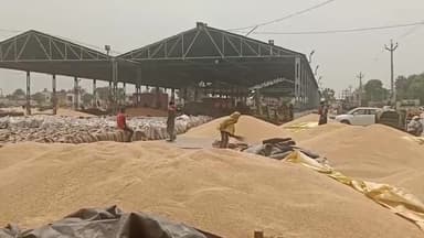 ਸੁਨਾਮ: ਮੌਸਮ ਠੀਕ ਹੋਣ ਤੋਂ ਬਾਅਦ ਕਣਕ ਦੀ ਖਰੀਦ ਵਿੱਚ ਕੋਈ ਸਮੱਸਿਆ ਨਹੀਂ ਆਉਣ ਦਿੱਤੀ ਜਾਵੇਗੀ- ਸੈਕਟਰੀ , ਮਾਰਕਿਟ ਕਮੇਟੀ