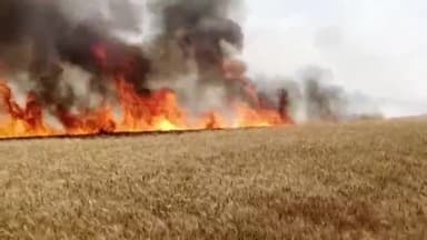 घाटमपुर: रामपुर गांव में बिजली के तार टूटने से निकली चिंगारी से लगभग 10 बीघा गेहूं की फसल जलकर हुई राख,आग पर पाया काबू