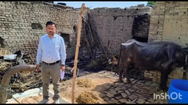 जलालाबाद: गांव कूरेबंडा में छप्परदार घर मे अचानक लगी आग, दो पालतू जानवर झुलसे