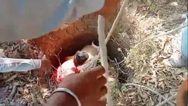 इकौना: मोहम्मदपुर राजा गांव के पास कुएं में गिरे गौवंश को बचाने के लिए घंटो चला रेस्क्यू अभियान निकाला गया बाहर