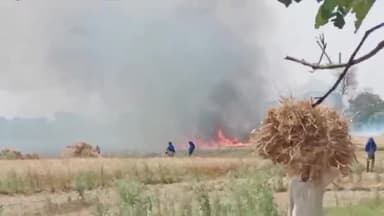 बिहिया: बिहिया के झौवा और डुमरिया के बीच  गेहूं की खेत में आग लगने से लाखों रुपए मूल्य की गेहूं की फसल जलकर राख