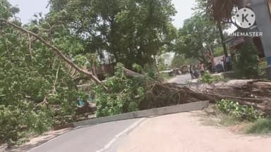 बड़हरिया: बाबूहाता बाजार स्थित बीच सड़क पर पेंड के साथ बिजली का पोल व तार टूटकर गिरा बाल बाल बचे लोग