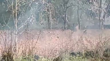 करछना: मामा भांजा रुद्रा एंक्लेव के पास झाड़ियां में अज्ञात कारणों से लगी आग,स्थानीय लोगों द्वारा बुझाई गई आग