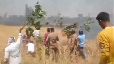 इकौना: रामपुर पैड़ा गांव के पास अज्ञात कारणों से गेंहू की फसल में लगी आग, सैकड़ो बीघा फसल जलकर हुई राख