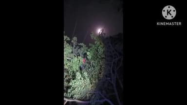 गुठनी: गुठनी दरौली मुख्य सड़क के किनारे 33 हजार विधुत तार पर पेंड टूटकर गिरा बिजली सप्लाई रही बाधित