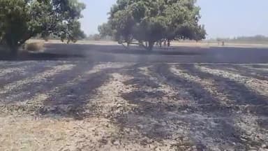 मलिहाबाद: ससपन: रहीमाबाद थाना अंतर्गत क्षेत्र में आग लगने के बाद कई बीघा फसल जलकर हुई राख