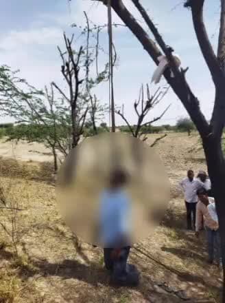 चाकसू: मोजमाबाद थाना क्षेत्र के नासनोदा गांव में एक युवक ने बबुल के पेड़ पर लटक कर की आत्महत्या,