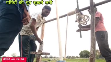 एक गलती और गर्मियो की सारी मूंग सूखने लगी 👉 पूरा वीडियो kartar farming यूट्यूब चैनल पर देखे #kartarfarming