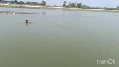 शिवहर: शिवहर जिला में एक सप्ताह के अंदर चार बच्चों की डूबकर हुआ मौत, जिला प्रशासन ने नदी किनारे जाने पर लगाई रोक