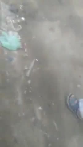 लोनी विद्युत विभाग बना भ्रष्टाचार का गढ़ बिना रिश्वत के नहीं हो रहे कोई कार्य रिश्वत लेकर 18 4 2024 को लगा नया मीटर