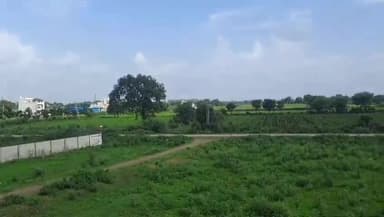 मंदसौर: मौसम अपडेटः तेज धूप और गर्मी से राहतः पश्चिमी विक्षोभ हो रहा सक्रिय, मंदसौर जिले में नहीं होगा असर