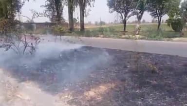 गढ़मुक्तेश्वर: गांव सिखेड़ा के पास हाईवे-9 के डिवाइडर पर लगे पौधों में लगी आग, मचा हड़कंप