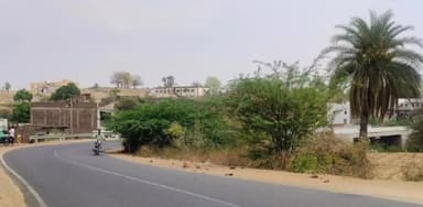 सोंडवा: सोंडवा उमराली मे पुलिस चौकी के सामने अंधे मोड पर झाडियां, नजर नहीं आते वाहन, हादसे का अंदेशा