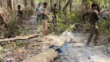 भिनगा: सोहेलवा जंगल में लगी भीषण आग, SSB ने वन कर्मियों संग मिलकर बुझाई आग, वन क्षेत्र को किया गया सुरक्षित