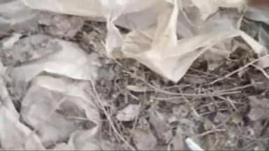 डेहरी: मथुरी बड़ी नहर के तटबंध किनारे अवैध शराब के विरुद्ध छापेमारी के दौरान एक हजार लीटर महुआ पास शराब विनष्ट, एक भट्टी भी हुआ