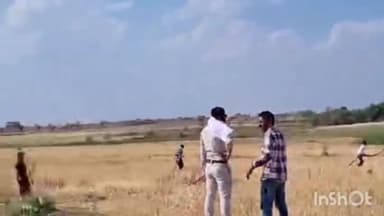 सोहागपुर: सोहागपुर थाना क्षेत्र के धुरवार गांव में गेहूं की फसल में लगी आग, नगर पालिका के दमकल ने आग पर पाया काबू