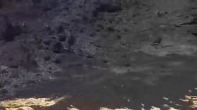 चोरौत: परिगामा पंचायत के वार्ड संख्या 5 में गेहूं के खेत में लगी आग