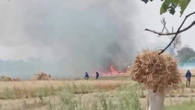 बिहिया: बिहिया के झौवा और डुमरिया के बीच  गेहूं की खेत में आग लगने से लाखों रुपए मूल्य की गेहूं की फसल जलकर राख